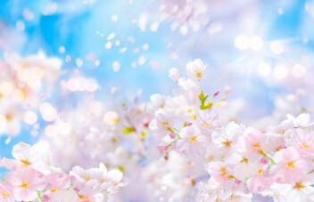 新年度リターンズ